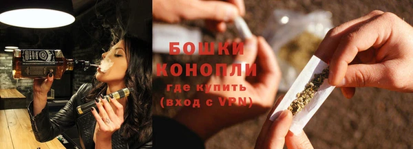 мдпв Михайлов