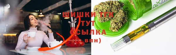 мдпв Михайлов