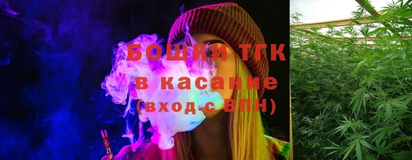 мдпв Михайлов