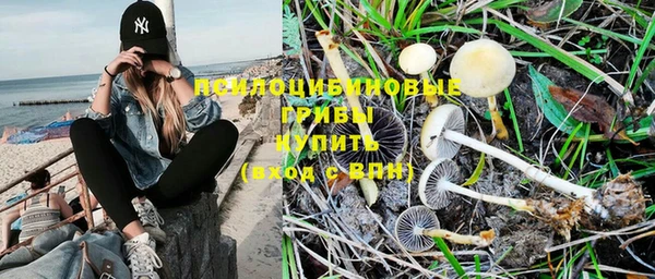 jwh Михайловск